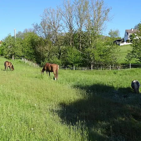 Monteurwohnung In Appartement *