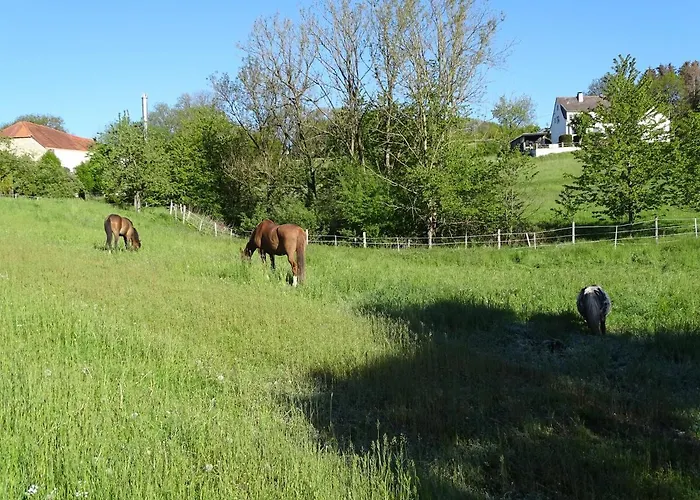 Monteurwohnung In Appartement *
